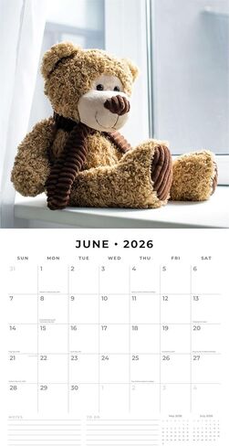 Red Robin 2026 Teddy Bears Monthly Wall Calendar | 12" x 24" Open | Premium Thick & Sturdy Paper | Hangable 12 Month Calendar | Lined Notes & To Do Area | Vivid Images | Plastic Free in Saudi Arabia