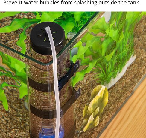 Artemia Eggs Hatchery Kit, Plastic Shrimp Eggs Hatchery Incubator for Aquarium for Fish in Saudi Arabia