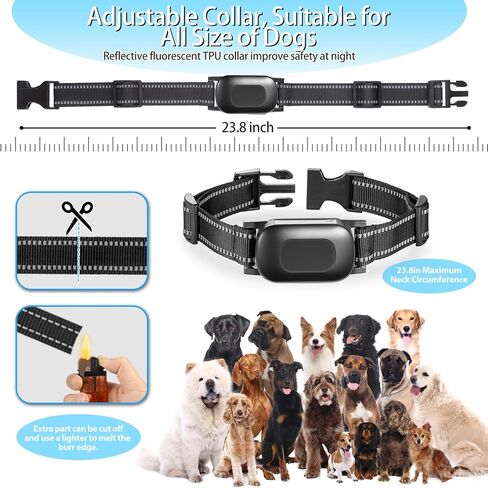Rivulet Electric Wireless Dog Fence System Electric Dog Fence Pet Fence Wireless, 2-in-1 Dog Boundary Containment System&Rechargeable Shock Training Collar Range 990FT for Small Medium Large Dogs in Saudi Arabia