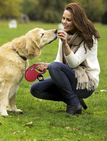 FLEXI Multi Box Light Grey - for Dog Training Treats/Poop Bag Dispenser in Saudi Arabia
