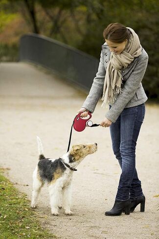 FLEXI Multi Box Light Grey - for Dog Training Treats/Poop Bag Dispenser in Saudi Arabia