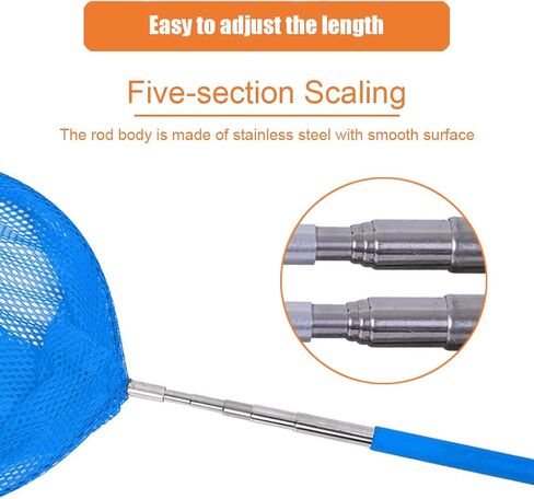 JZTang شبكة صيد فراشة تلسكوبية للأطفال، أدوات صيد الحشرات في الهواء الطلق لصيد الحشرات، حشرات الأسماك، الدعسوقة قابلة للتمديد 34 بوصة وقبضة مضادة للانزلاق (قطعتان) in Kuwait