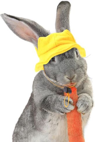 POPETPOP Cosplay Outfits Bunny Decor Small Animals Hat, Rabbit Bunny Hat Rabbit Cap Mini Hat Small Animals Outfits for Small Animals Rabbit Bunny Ornament Cosplay Accessories in Saudi Arabia