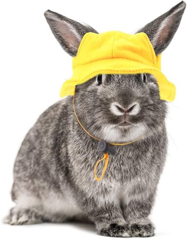 POPETPOP Cosplay Outfits Bunny Decor Small Animals Hat, Rabbit Bunny Hat Rabbit Cap Mini Hat Small Animals Outfits for Small Animals Rabbit Bunny Ornament Cosplay Accessories in Saudi Arabia