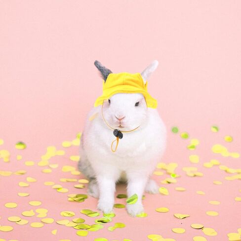 POPETPOP Cosplay Outfits Bunny Decor Small Animals Hat, Rabbit Bunny Hat Rabbit Cap Mini Hat Small Animals Outfits for Small Animals Rabbit Bunny Ornament Cosplay Accessories in Saudi Arabia