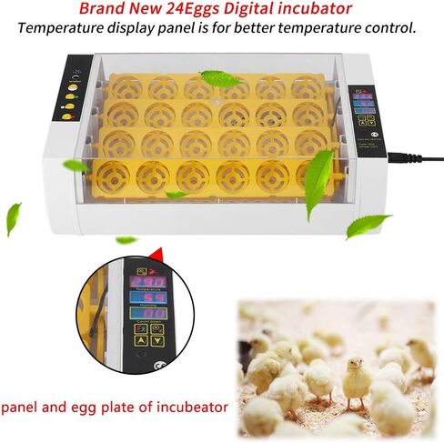 24 Egg Incubator, Automatic Digital Chicken Egg Hatcher Turning Temperature and Humidity Control with Digital Display for Hatching Chickens Ducks Goose in Saudi Arabia