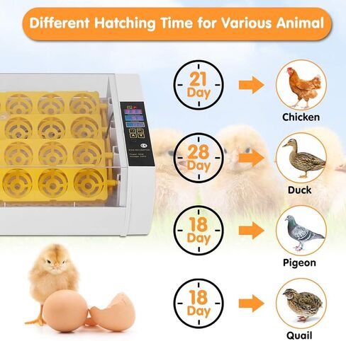 24 Egg Incubator, Automatic Digital Chicken Egg Hatcher Turning Temperature and Humidity Control with Digital Display for Hatching Chickens Ducks Goose in Saudi Arabia