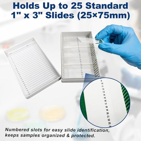 5PCS Microscope Slide Storage Box, 25-Place Plastic Microscope Slide Holder with Foam Liner for 25mm × 75mm Microslide, Assorted Colors in Kuwait