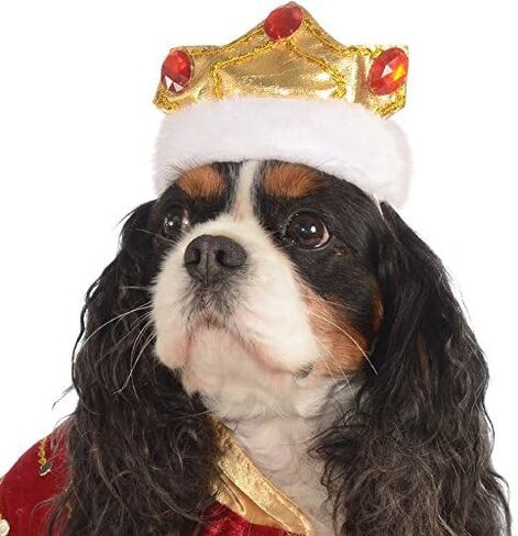 Rubie's Red King Pet Costume, X-Large in Saudi Arabia