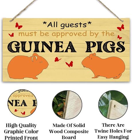 Axolotl Sign, Rustic Door Sign, Novelty Door Gate Hanger, Decorative Wall Plaque, Front Door Wall Decor for Porch, Axolotl Lover Home Decor, All Guests Must Be Approved By the Axolotl Sign in Saudi Arabia