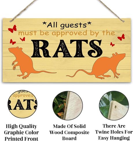 Axolotl Sign, Rustic Door Sign, Novelty Door Gate Hanger, Decorative Wall Plaque, Front Door Wall Decor for Porch, Axolotl Lover Home Decor, All Guests Must Be Approved By the Axolotl Sign in Saudi Arabia