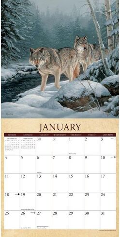 Willow Creek Press, Wild America 2026 Wall Calendar, 12'' X 12'', 18-Month Calendar with Stapled Binding in Saudi Arabia