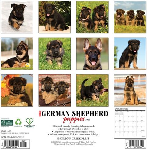 Willow Creek Press، تقويم حائط Just German Shepherd Puppies 2026، 12 بوصة × 12 بوصة، تقويم لمدة 18 شهرًا مع غلاف مثبت in Kuwait