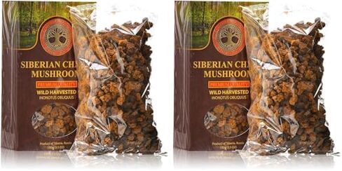 Siberian Chaga Mushroom Chunks, Premium Quality, Wild Harvested, 100 Grams (3.5 OZ) in Kuwait