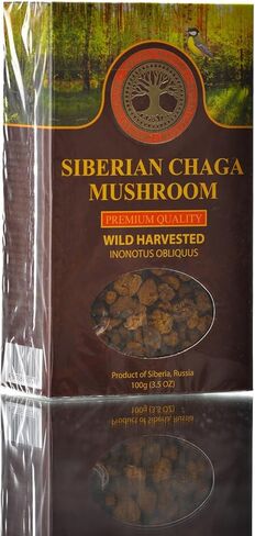 Siberian Chaga Mushroom Chunks, Premium Quality, Wild Harvested, 100 Grams (3.5 OZ) in Kuwait