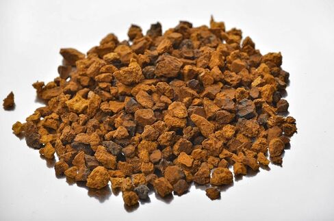Siberian Chaga Mushroom Chunks, Premium Quality, Wild Harvested, 100 Grams (3.5 OZ) in Kuwait