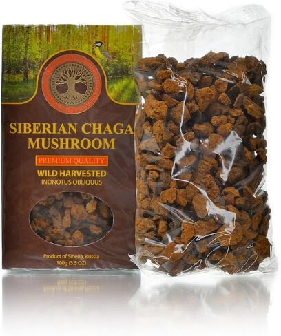 Siberian Chaga Mushroom Chunks, Premium Quality, Wild Harvested, 100 Grams (3.5 OZ) in Kuwait
