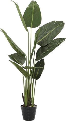 ديكو 79 نبات صناعي من أوراق الشجر الاصطناعية Dracaena للاستخدام الداخلي والخارجي مع وعاء مستدير مخدد، مقاس 31 بوصة × 31 بوصة × 55 بوصة، أخضر in Saudi Arabia