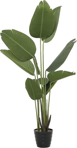 ديكو 79 نبات صناعي من أوراق الشجر الاصطناعية Dracaena للاستخدام الداخلي والخارجي مع وعاء مستدير مخدد، مقاس 31 بوصة × 31 بوصة × 55 بوصة، أخضر in Saudi Arabia