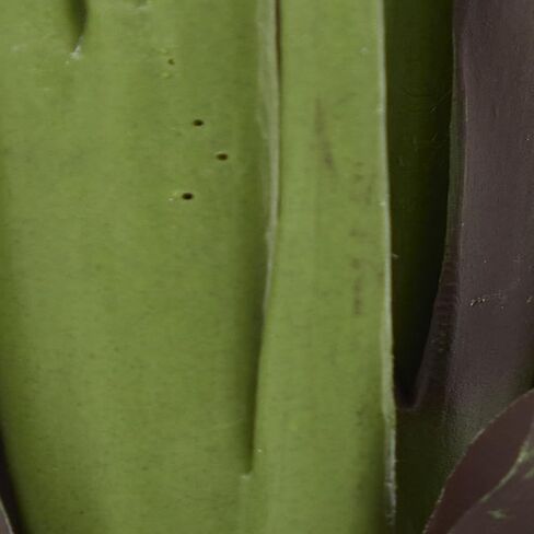 ديكو 79 نبات صناعي من أوراق الشجر الاصطناعية Dracaena للاستخدام الداخلي والخارجي مع وعاء مستدير مخدد، مقاس 31 بوصة × 31 بوصة × 55 بوصة، أخضر in Saudi Arabia