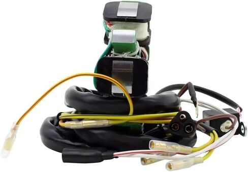 Accessories Fit For Magneto Stator coil 335 400 425 500 3084974 3086239 3086860 in Saudi Arabia