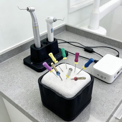 Endo File Clean Stand, YOUYA DENTAL Instant Detailing File Cleaning Sponge Dental Endodontics Cleaning Holder High Temperature Resistance Professional Sponge Box Ring Organizer Rack Refill Cushion in Kuwait