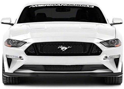 MMD Chin Spoiler Durable Front Bumper Pony Body Styling Fits Mustang GT/Ecoboost 2018-2020 in Saudi Arabia