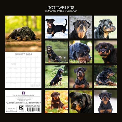 تقويم حائط مربع 2026 من The Gifted Stationary، Rottweiler، تقويم معلق على شكل حيوان لمدة 16 شهرًا مع 180 ملصق تذكير، مخطط شهر للمساحات الإبداعية، 12 × 12 بوصة in Saudi Arabia
