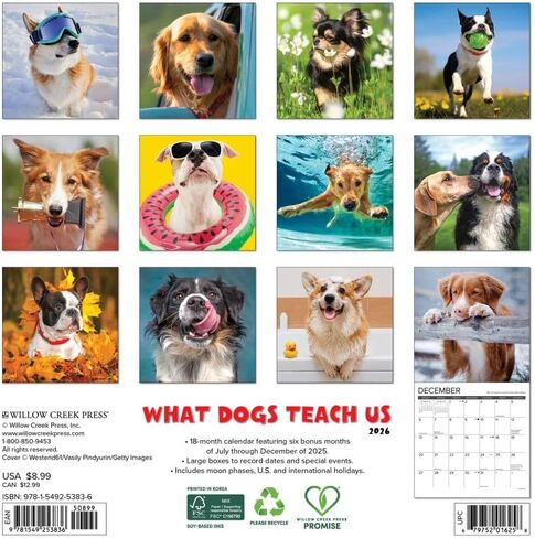 Willow Creek Press، What Dogs Teach Us 2026 تقويم حائط صغير، 7 بوصة × 7 بوصة، تقويم لمدة 18 شهرًا مع غلاف مثبت in Kuwait
