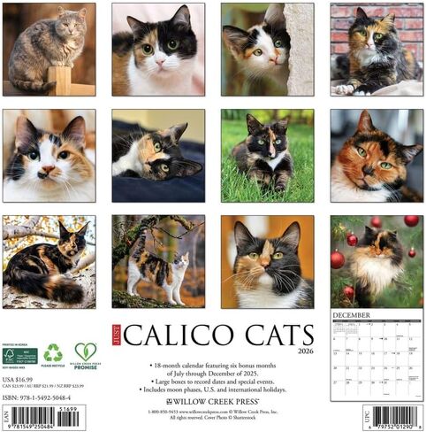 Willow Creek Press, Calico Cats 2026 Wall Calendar, 12'' X 12'', 18-Month Calendar with Stapled Binding in Saudi Arabia