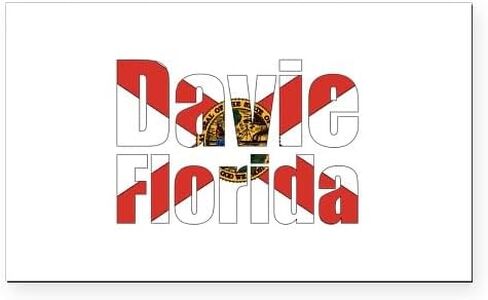 CafePress Davie Florida Rectangle Car Bumper Magnet in Saudi Arabia