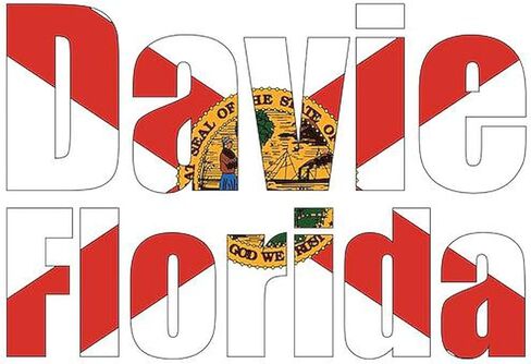 CafePress Davie Florida Rectangle Car Bumper Magnet in Saudi Arabia