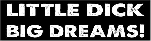 11x3 inches Funny Magnet - Little Dick Big Dreams! Bumper Sticker - Little Dick Big Dreams! Bumper Magnet - Vehicle, Refrigerator, Car, Truck, in Saudi Arabia