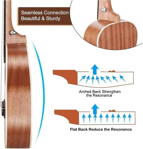 Everjoys Soprano Ukulele Mahogany 21 inch - Professional Wooden Ukelele Instrument Kit With Gig Bag Strap Picks Strings Free Online Lessons All in One Kit in Kuwait