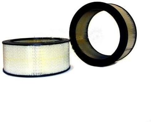 Air Filter for 1990-1994 Ford F-600 LPO (PG-2567878) in Saudi Arabia