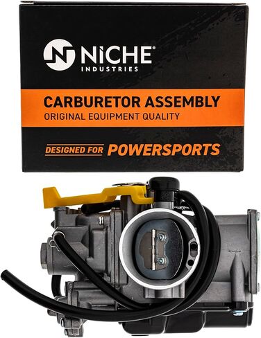NICHE Carburetor For 1993-1996 Honda Sportrax 300 TRX300EX 16100-HM3-L01 ATV in Saudi Arabia