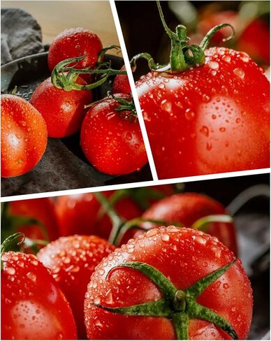 IFOOTAGE Video Light SL1 60DN Standard, 70W COB Continuous Light with 5600K Daylight, CRI 98/TLCI 99/12200 LM, APP Control in Kuwait