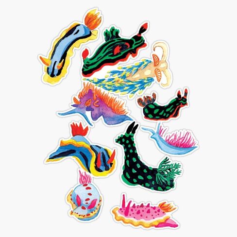 ملصق فينيل مغناطيسي صغير Nudibranchs مقاس 5 بوصات in Saudi Arabia
