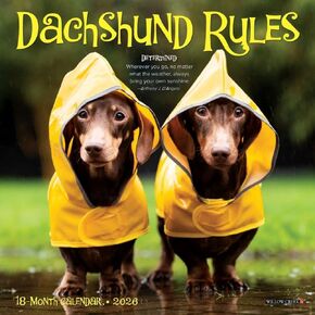 Willow Creek Press, Dachshund Rules 2026 Mini Wall Calendar, 7'' X 7'', 18-Month Calendar with Stapled Binding in Saudi Arabia