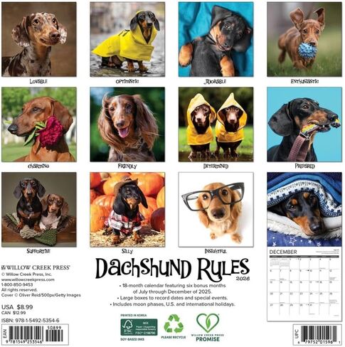 Willow Creek Press, Dachshund Rules 2026 Mini Wall Calendar, 7'' X 7'', 18-Month Calendar with Stapled Binding in Saudi Arabia