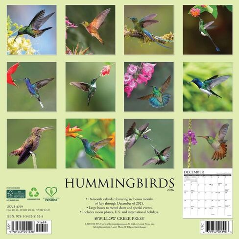 Willow Creek Press, Hummingbirds 2026 Wall Calendar, 12'' X 12'', 18-Month Calendar with Stapled Binding in Saudi Arabia