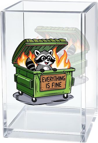 Everything Is Fine Acrylic Cosmetic Organizer Pen Holder, Humor Acrylic Desk Holder Cup for Pen Pencil, Sarcastic Office Gifts for Racoon Lovers Leader Staff, Funny Racoon Gifts for Coworker in Saudi Arabia