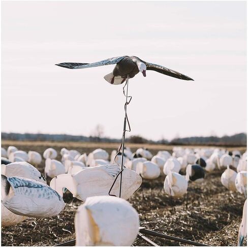 Higdon Outdoors Clone Mallard Hen Flapping Motion Decoy with Adjustable Wing Speed in Saudi Arabia