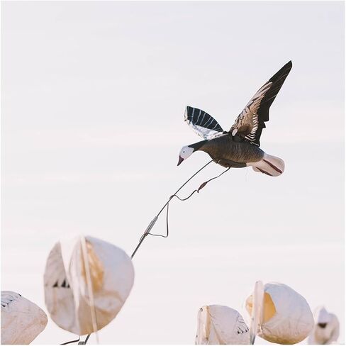 Higdon Outdoors Clone Mallard Hen Flapping Motion Decoy with Adjustable Wing Speed in Saudi Arabia