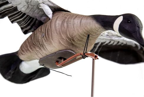 Higdon Outdoors Clone Mallard Hen Flapping Motion Decoy with Adjustable Wing Speed in Saudi Arabia