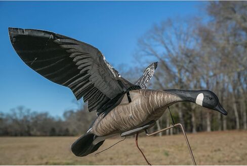 Higdon Outdoors Clone Mallard Hen Flapping Motion Decoy with Adjustable Wing Speed in Saudi Arabia
