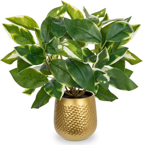 نباتات اصطناعية داخلية نباتات وهمية صغيرة في أوعية فو Pothos N 'Joy نبات محفوظ بوعاء نباتات داخلية وهمية مع أوعية سوداء للحمام وغرفة المعيشة وأرفف مكتب المكتب in Saudi Arabia