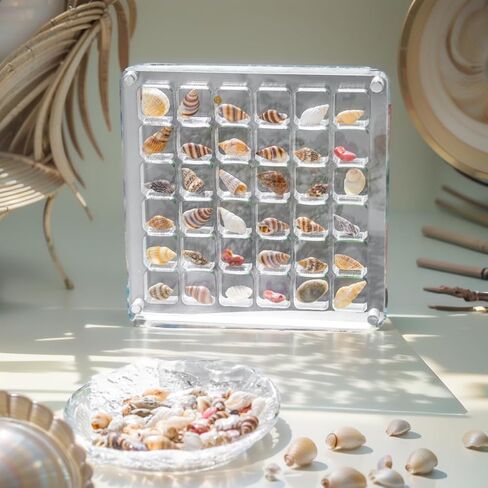 ERRSOU Acrylic Magnetic Seashell Display Box,36 Grids Clear Shell Storage Frame，Starfish Trinket Stackable Small Craft Organizers Display Case container in Saudi Arabia