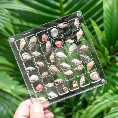 ERRSOU Acrylic Magnetic Seashell Display Box,36 Grids Clear Shell Storage Frame，Starfish Trinket Stackable Small Craft Organizers Display Case container in Saudi Arabia
