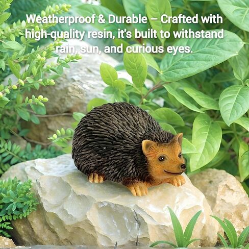 Hedgehog Fake Rock Key Hider Outdoor Hidden Key Box Resin Garden Statue with Secret Compartment Weatherproof Hide a Key for Yard Patio Geocaching in Saudi Arabia